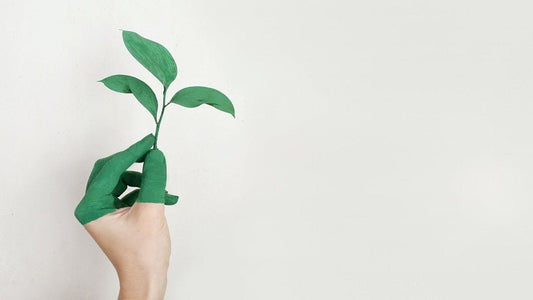 9 Ways You Can Be More Eco-Friendly - Skinyoga